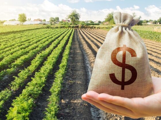 Agricultura brasileira será foco global de financiamentos verdes