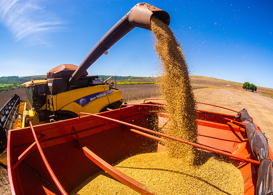 Agricultura: produção de grãos no Brasil crescerá 27% nos próximos dez anos, chegando a 333 milhões de toneladas