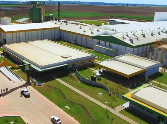 Bem Brasil investe em ampliação da armazenagem e novos equipamentos