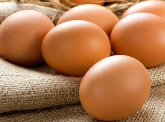 Leite, ovos e margarina lideram entre produtos em falta nos supermercados brasileiros em julho