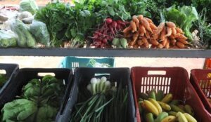 Clima prejudica oferta de hortaliças e frutas no país segundo Boletim Prohort da Conab