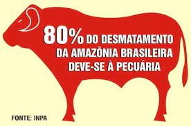 Soja e gado brasileiros são decisivos para o desafio de reduzir o desmatamento no mundo, apontam BCG e WWF
