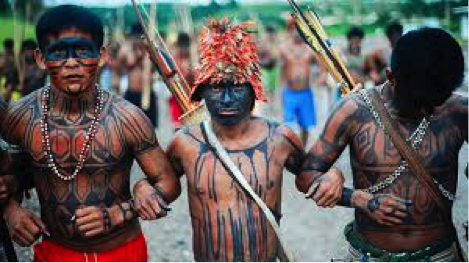 O indigenismo no Brasil. Uma visão nova