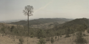Casa Fiat de Cultura apresenta registros do desaparecimento da paisagem brasileira em nova mostra Piccola Galleria
