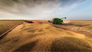 Safra recorde de grãos em 2021/22: Brasil poderá superar 271 milhões de toneladas
