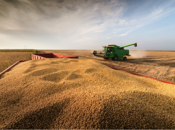 Safra recorde de grãos em 2021/22: Brasil poderá superar 271 milhões de toneladas