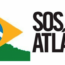 Cidades de Minas foram as campeãs do desmatamento na Mata Atlântica entre 2020 e 2021