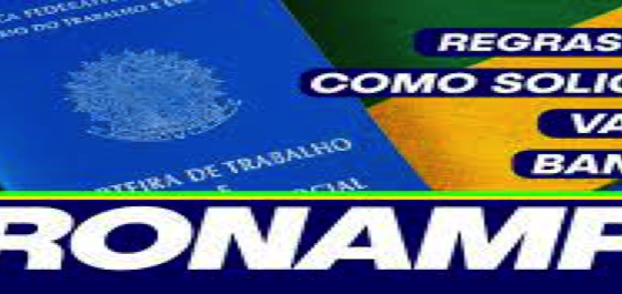 Concessão de crédito pelo Pronampe para os pequenos negócios começa dia 25 de julho