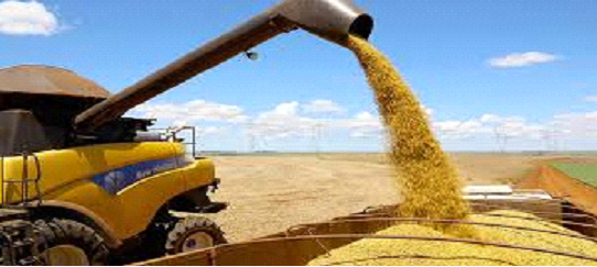 Safra brasileira de grãos 2023/22 poderá ter produção de 308 milhões de toneladas impulsionada pela boa rentabilidade de milho, soja e algodão