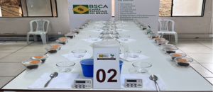 Café especial: Cup of Excellence 2022 define amostras classificadas para fase nacional