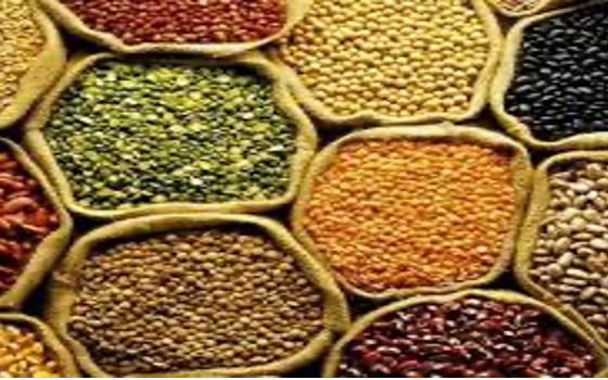 Safra de grãos brasileira é estimada em 313 milhões de toneladas impulsionada pela soja