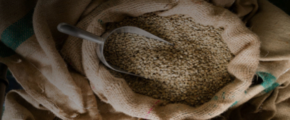 Exportação dos cafés do Brasil tem receita recorde de US$ 9,2 bilhões em 2022