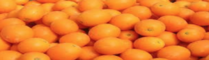 Mais de 1,6 milhão de brasileiros podem ser consumidores laranjas