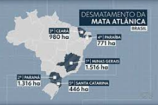 Minas, Bahia e Paraná são os estados que mais desmatam a Mata Atlântica