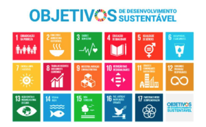 Nova Agenda Urbana da ONU sinaliza caminhos do desenvolvimento sustentável