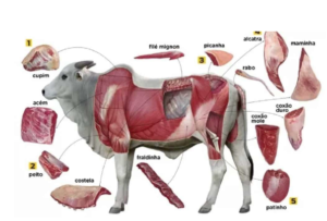 Campanha busca valorização da carne bovina mineira