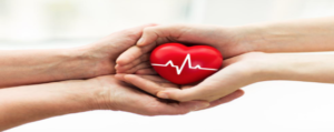 Transplante de coração e outros órgãos no Brasil: como funciona a fila para receber um órgão transplantado